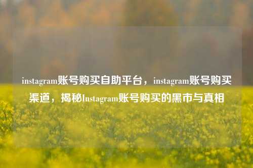 instagram账号购买自助平台，instagram账号购买渠道，揭秘Instagram账号购买的黑市与真相