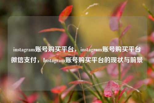 instagram账号购买平台，instagram账号购买平台微信支付，Instagram账号购买平台的现状与前景