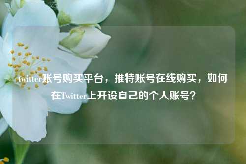 twitter账号购买平台，推特账号在线购买，如何在Twitter上开设自己的个人账号？