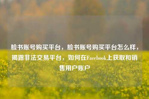 脸书账号购买平台，脸书账号购买平台怎么样，揭露非法交易平台，如何在Facebook上获取和销售用户账户