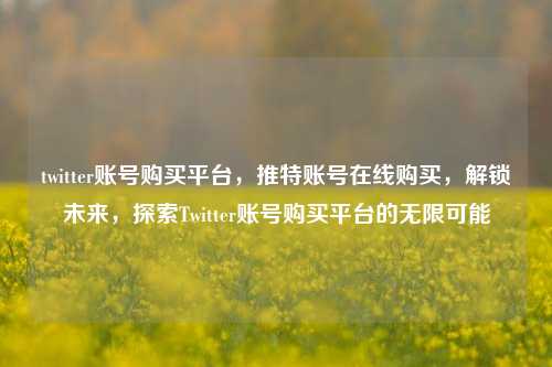 twitter账号购买平台，推特账号在线购买，解锁未来，探索Twitter账号购买平台的无限可能