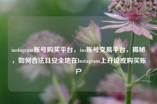 instagram账号购买平台，ins账号交易平台，揭秘，如何合法且安全地在Instagram上开设或购买账户