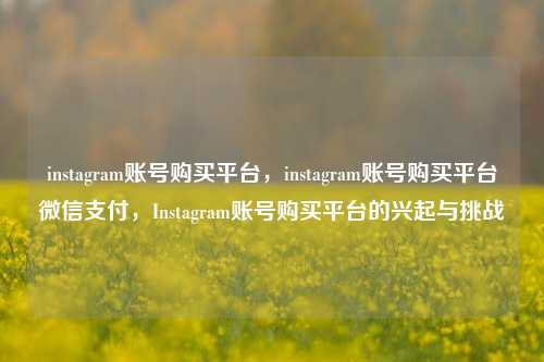 instagram账号购买平台，instagram账号购买平台微信支付，Instagram账号购买平台的兴起与挑战