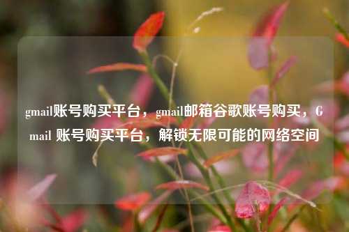 gmail账号购买平台，gmail邮箱谷歌账号购买，Gmail 账号购买平台，解锁无限可能的网络空间