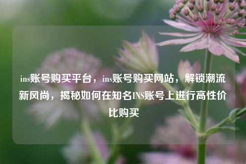 ins账号购买平台，ins账号购买网站，解锁潮流新风尚，揭秘如何在知名INS账号上进行高性价比购买