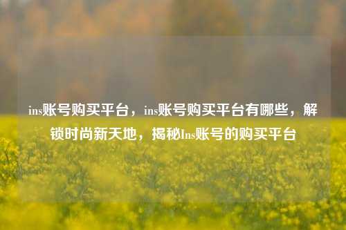 ins账号购买平台，ins账号购买平台有哪些，解锁时尚新天地，揭秘Ins账号的购买平台