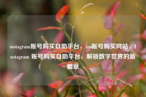instagram账号购买自助平台，ins账号购买网站，Instagram 账号购买自助平台，解锁数字世界的新篇章