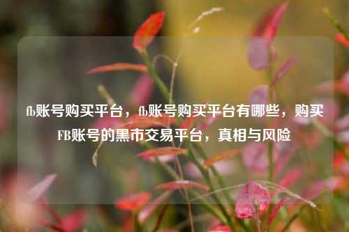 fb账号购买平台	，fb账号购买平台有哪些，购买FB账号的黑市交易平台，真相与风险  第1张