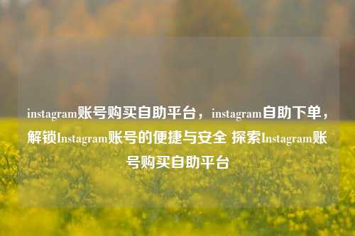 instagram账号购买自助平台，instagram自助下单，解锁Instagram账号的便捷与安全 探索Instagram账号购买自助平台