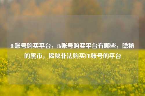 fb账号购买平台，fb账号购买平台有哪些，隐秘的黑市，揭秘非法购买FB账号的平台
