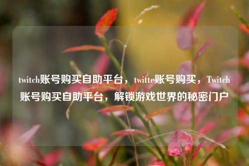 twitch账号购买自助平台，twitte账号购买，Twitch账号购买自助平台，解锁游戏世界的秘密门户