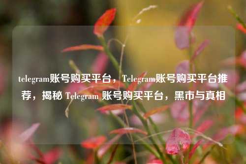 telegram账号购买平台，Telegram账号购买平台推荐，揭秘 Telegram 账号购买平台，黑市与真相
