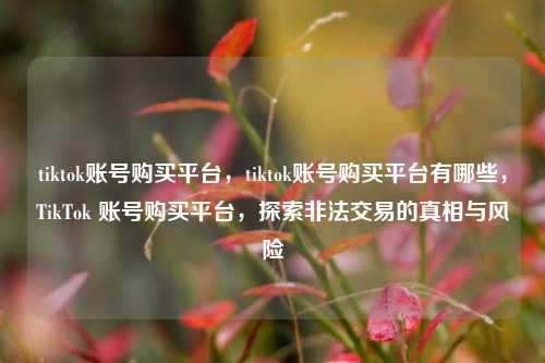 tiktok账号购买平台，tiktok账号购买平台有哪些，TikTok 账号购买平台，探索非法交易的真相与风险