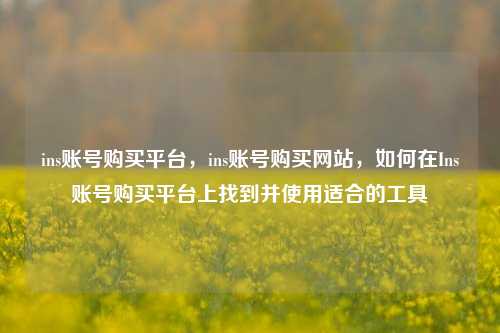ins账号购买平台，ins账号购买网站，如何在Ins账号购买平台上找到并使用适合的工具