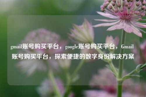gmail账号购买平台，google账号购买平台，Gmail 账号购买平台，探索便捷的数字身份解决方案