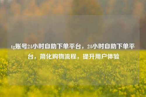 tg账号24小时自助下单平台，24小时自助下单平台，简化购物流程，提升用户体验