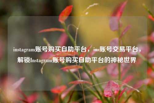 instagram账号购买自助平台	，ins账号交易平台，解锁Instagram账号购买自助平台的神秘世界  第1张