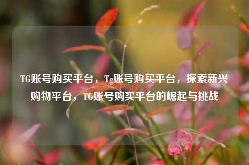 TG账号购买平台，Tg账号购买平台，探索新兴购物平台，TG账号购买平台的崛起与挑战