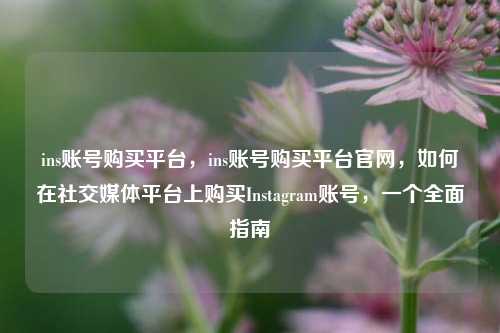 ins账号购买平台，ins账号购买平台官网，如何在社交媒体平台上购买Instagram账号，一个全面指南