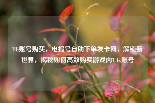 TG账号购买，电报号自助下单发卡网，解锁新世界，揭秘如何高效购买游戏内T.G.账号