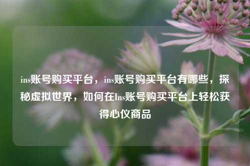 ins账号购买平台，ins账号购买平台有哪些，探秘虚拟世界，如何在Ins账号购买平台上轻松获得心仪商品