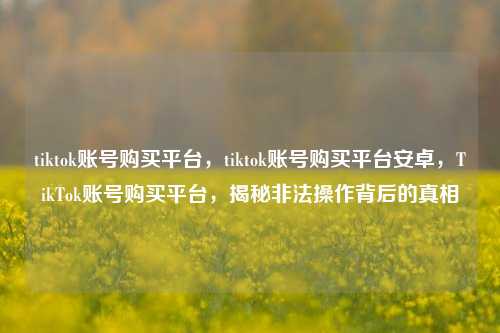 tiktok账号购买平台，tiktok账号购买平台安卓，TikTok账号购买平台，揭秘非法操作背后的真相
