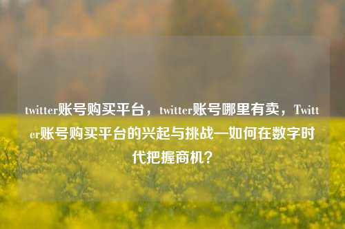 twitter账号购买平台，twitter账号哪里有卖，Twitter账号购买平台的兴起与挑战—如何在数字时代把握商机？
