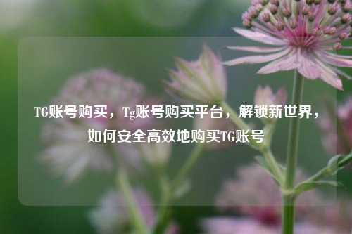 TG账号购买，Tg账号购买平台，解锁新世界，如何安全高效地购买TG账号