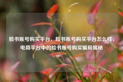 脸书账号购买平台，脸书账号购买平台怎么样，电商平台中的脸书账号购买骗局揭秘