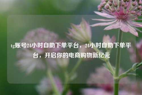tg账号24小时自助下单平台，24小时自助下单平台，开启你的电商购物新纪元