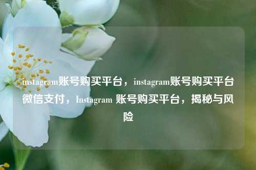 instagram账号购买平台，instagram账号购买平台微信支付，Instagram 账号购买平台，揭秘与风险