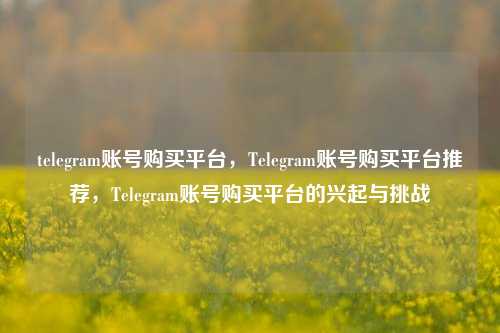 telegram账号购买平台，Telegram账号购买平台推荐	，Telegram账号购买平台的兴起与挑战  第1张