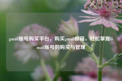 gmail账号购买平台，购买gmail邮箱，轻松掌握Gmail账号的购买与管理