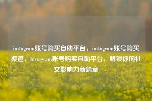 instagram账号购买自助平台，instagram账号购买渠道，Instagram账号购买自助平台，解锁你的社交影响力新篇章