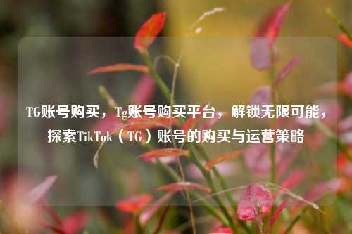 TG账号购买，Tg账号购买平台，解锁无限可能，探索TikTok（TG）账号的购买与运营策略