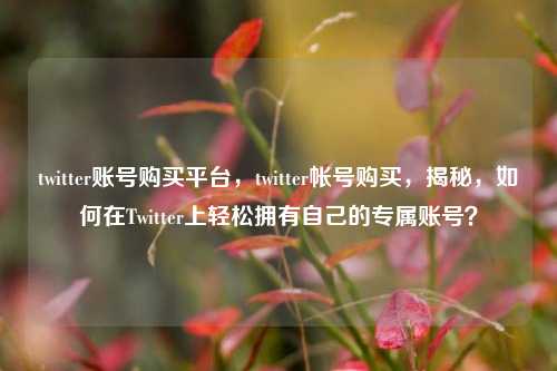 twitter账号购买平台，twitter帐号购买，揭秘，如何在Twitter上轻松拥有自己的专属账号？