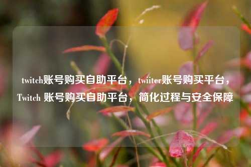 twitch账号购买自助平台，twiiter账号购买平台，Twitch 账号购买自助平台，简化过程与安全保障